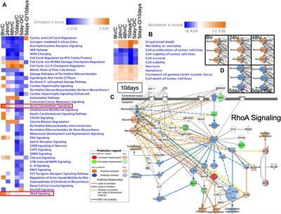 Novel predator-induced phenotypic plasticity by hemoglobin and physiological changes in the brain of Xenopus tropicalis